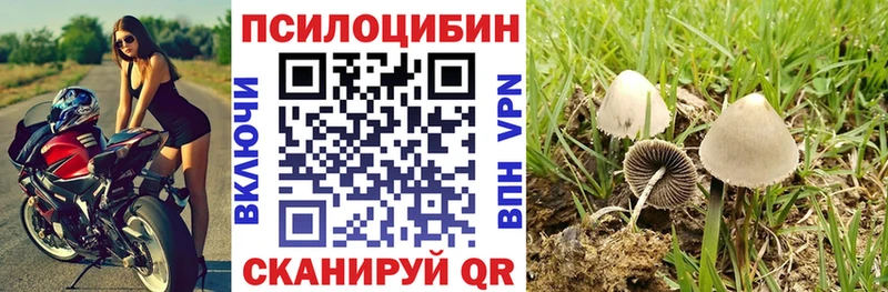 Псилоцибиновые грибы прущие грибы  Кумертау 